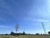 IMG_9454