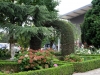 DSCF7841-1024